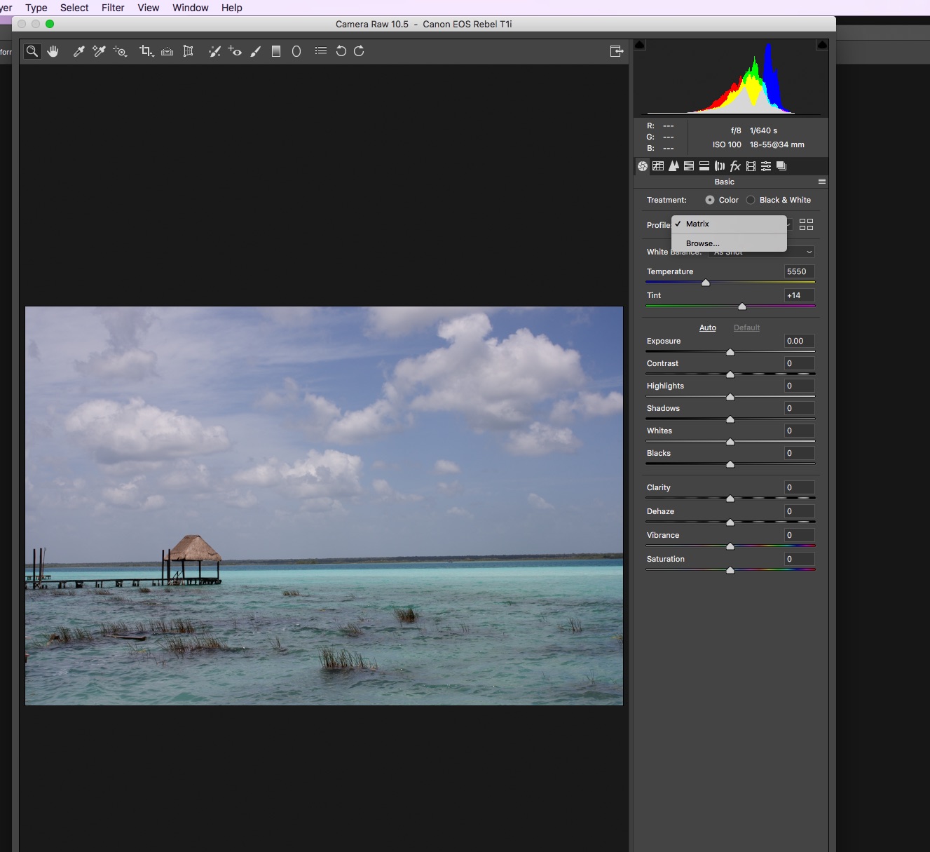 Adobe camera raw 8.6 professional